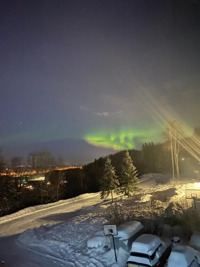 Alaskan Adventure Awaits! Eagle River Екстер'єр фото